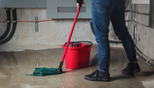 Best Residential water damage restoration  in Powhatan Point, OH