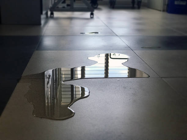 Best Water damage restoration near me  in Powhatan Point, OH