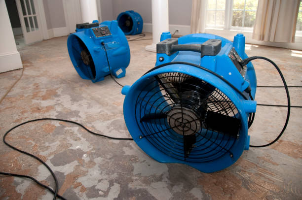 Best Water damage cleanup near me  in Powhatan Point, OH