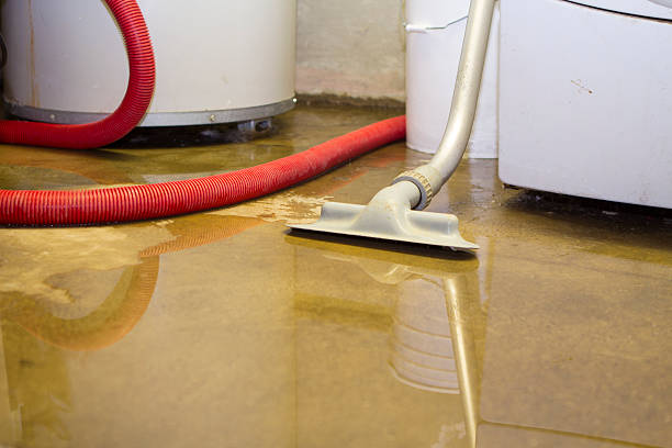 Best Water damage cleanup near me  in Powhatan Point, OH