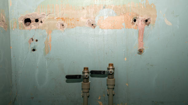 Best Water damage contractors near me  in Powhatan Point, OH