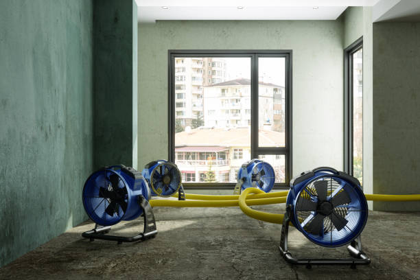 Best Sewage cleanup and water damage restoration  in Powhatan Point, OH
